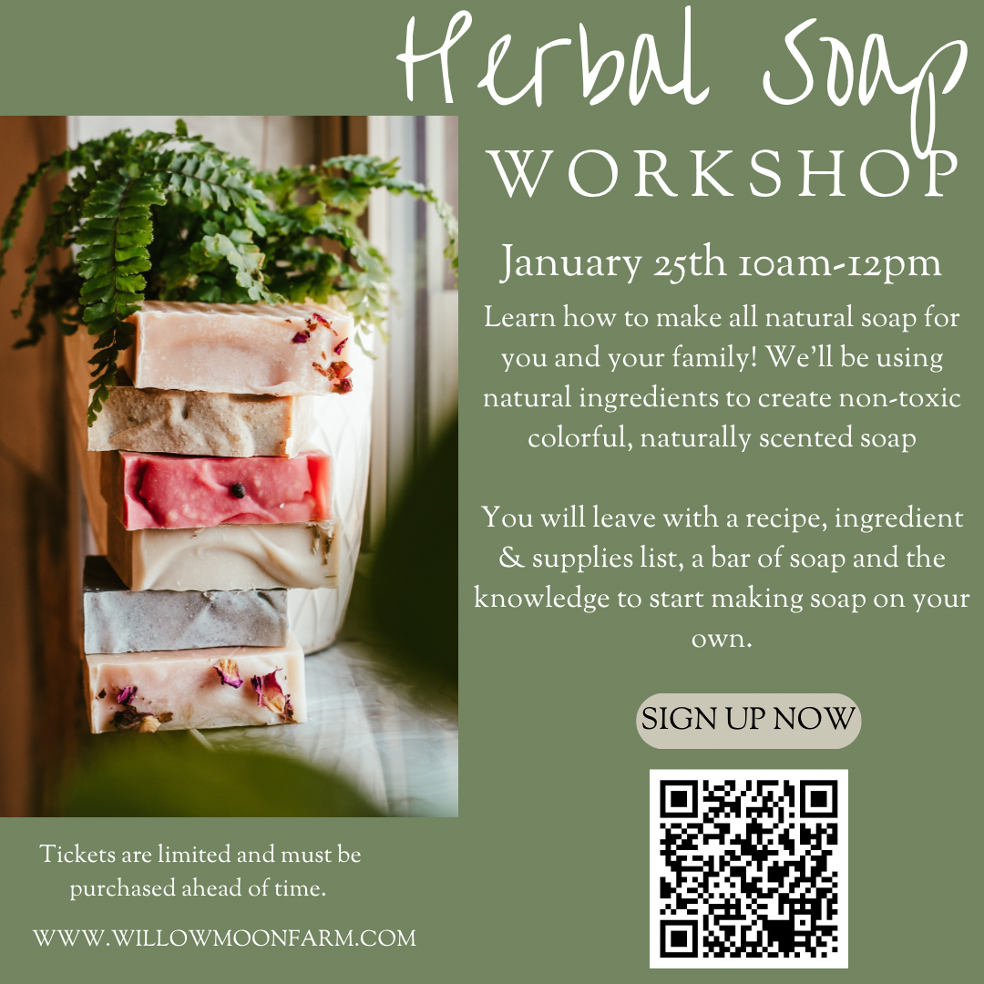 Herbal Soap Workshop